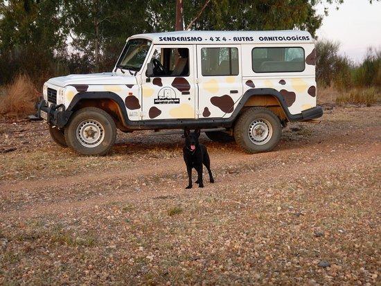 Misierradegata.Com