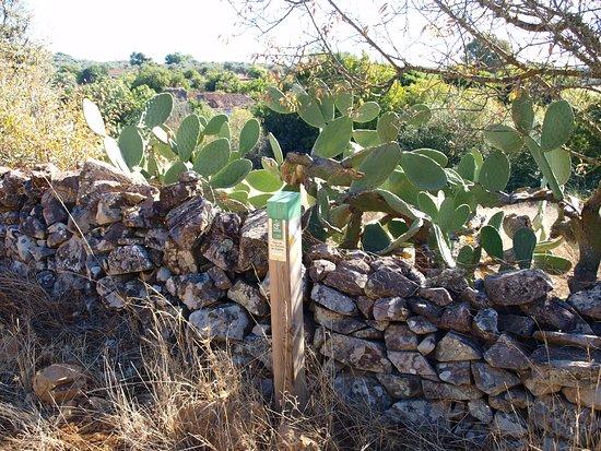 Ruta Senderista Molinos Harineros